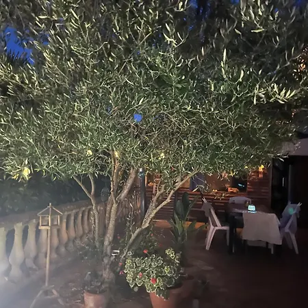 住宿加早餐酒店 Cosy *
